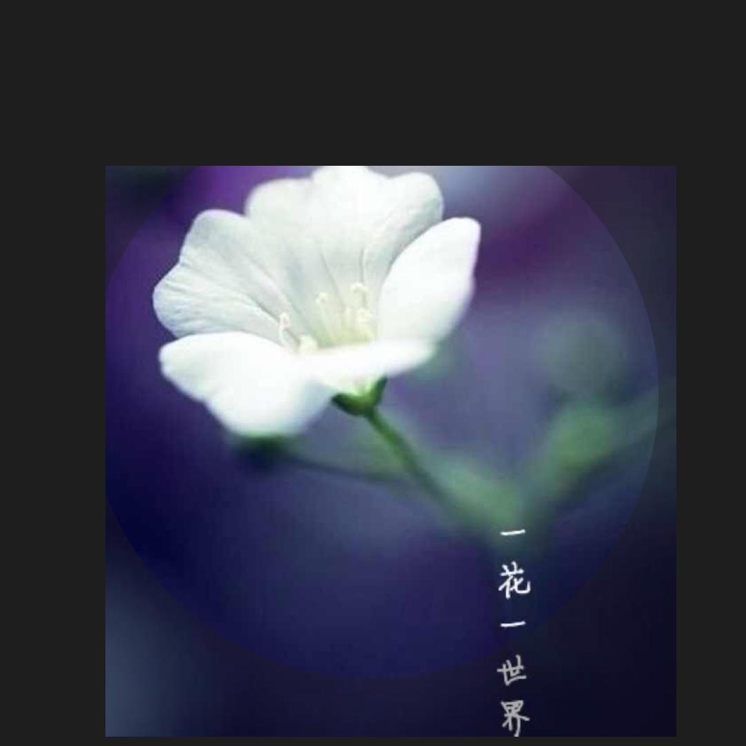 如是