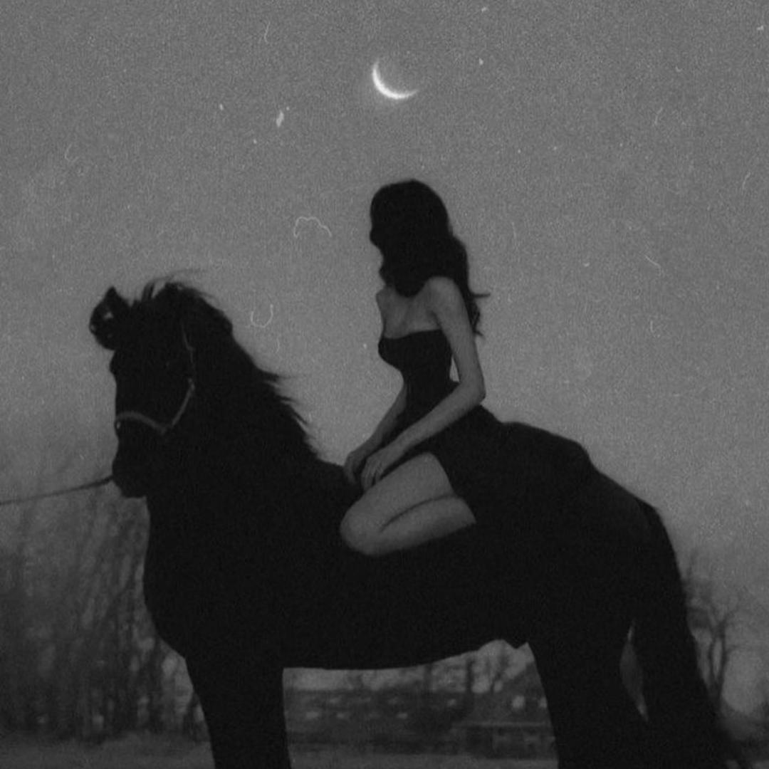 凌晨4点的猫🐈‍⬛