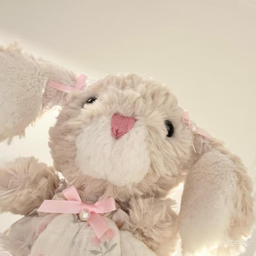 兔子🐰.