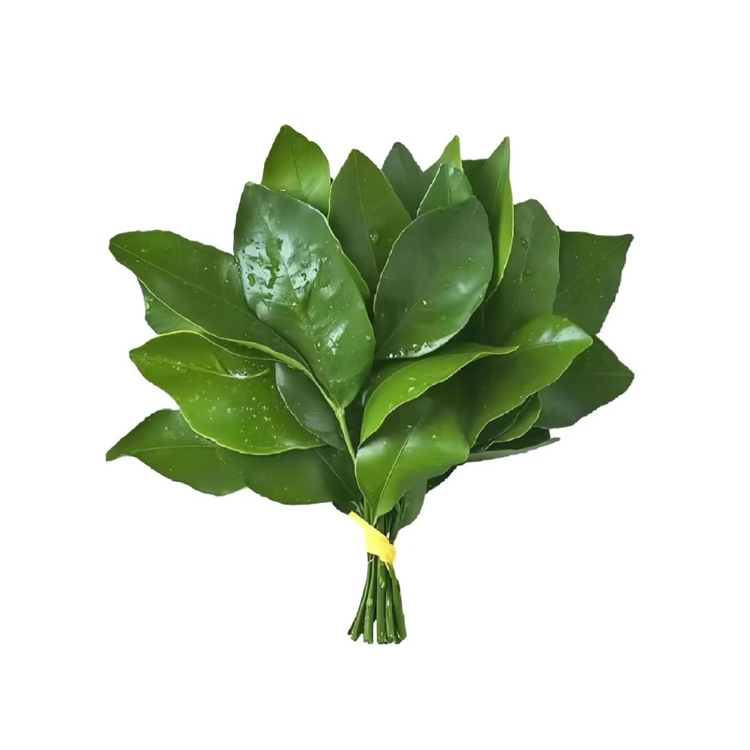 菜子