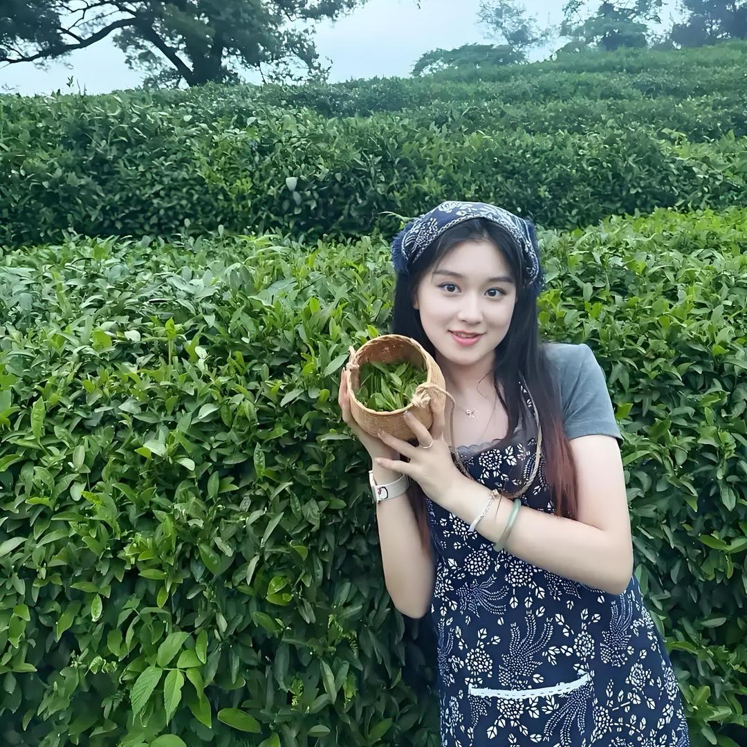 信阳毛尖茶农批发