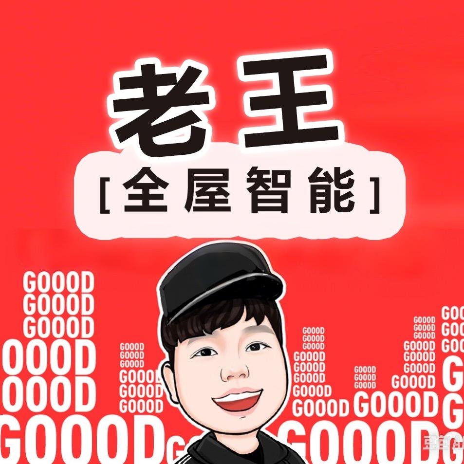 老王 ⌈全屋智能⌋