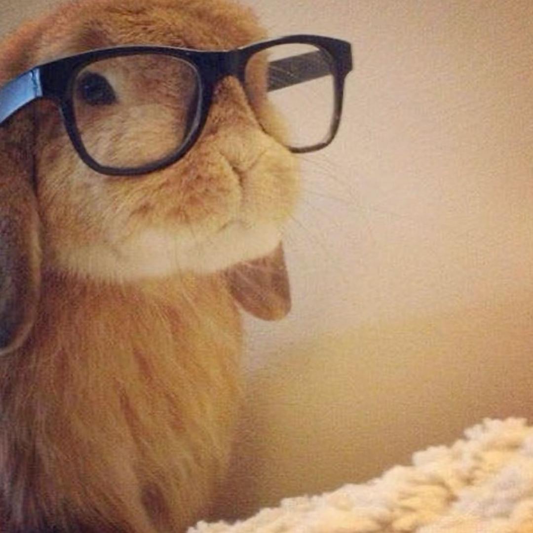 除了可爱一无是处