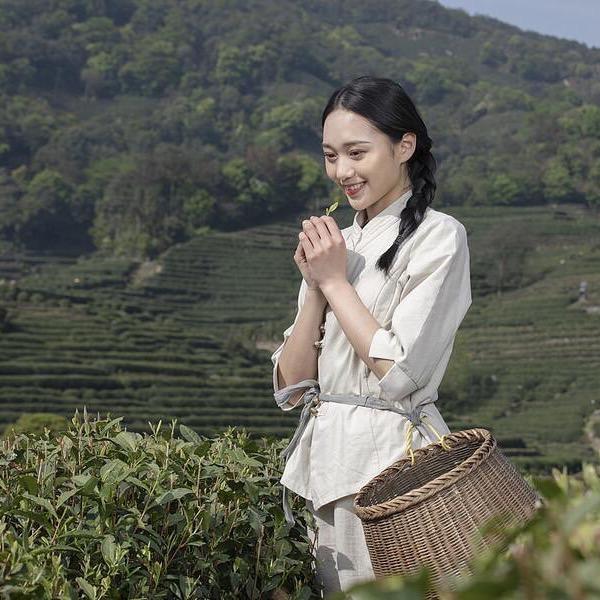 贵香春绿茶旗舰店