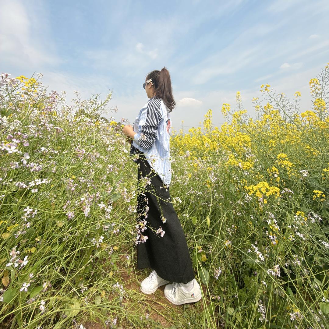 何以人生ʕ ᵔᴥᵔ ʔ