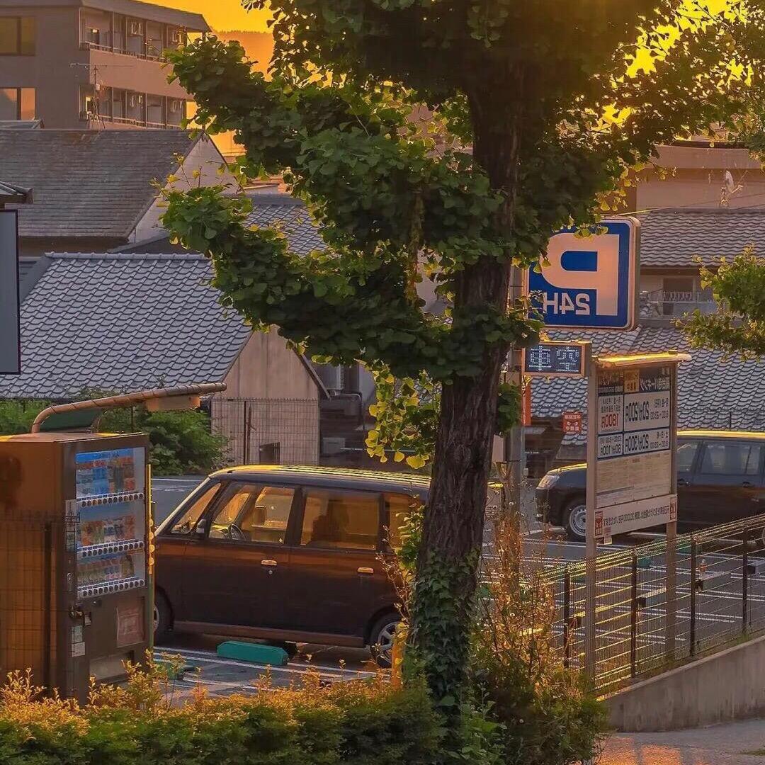 月亮失眠🦚