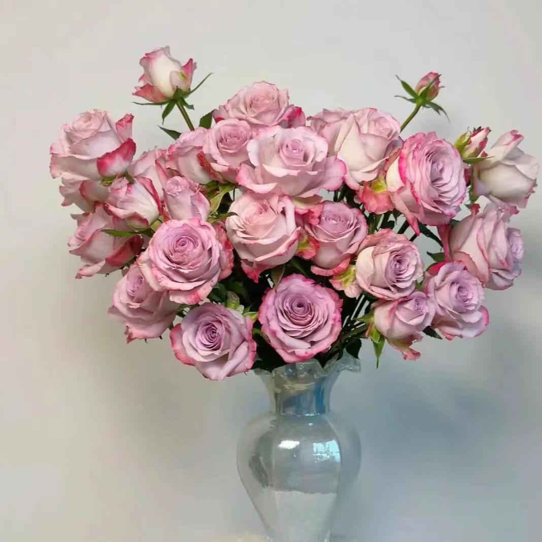 斗南丞相鲜花批发