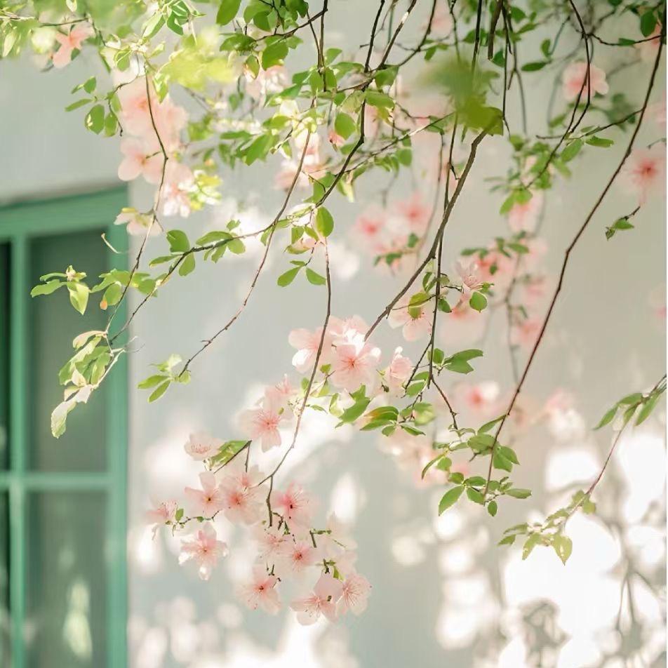 এ᭄淮晚໊࿐