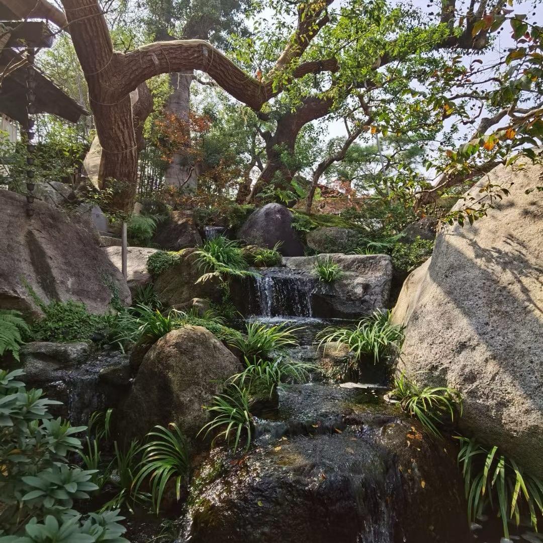 美职篮全明星2k手游