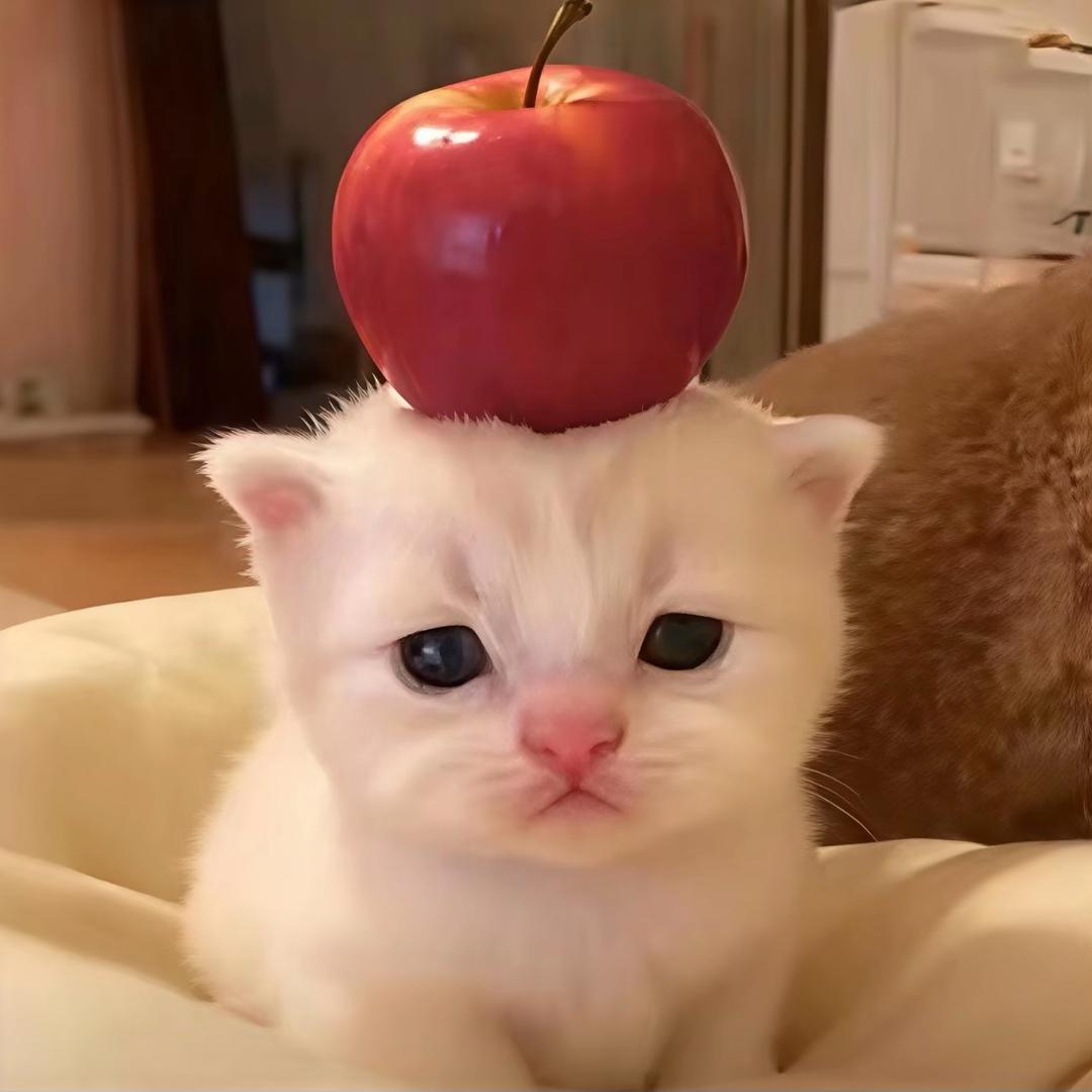 轨迹