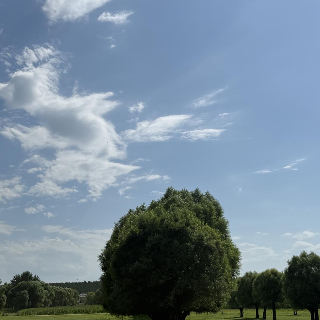 青山区鑫龙达五金建材严选店