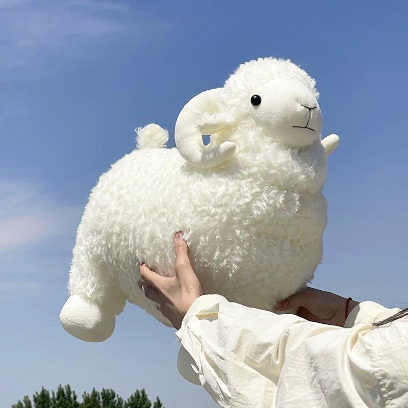 铭派羊毛制品