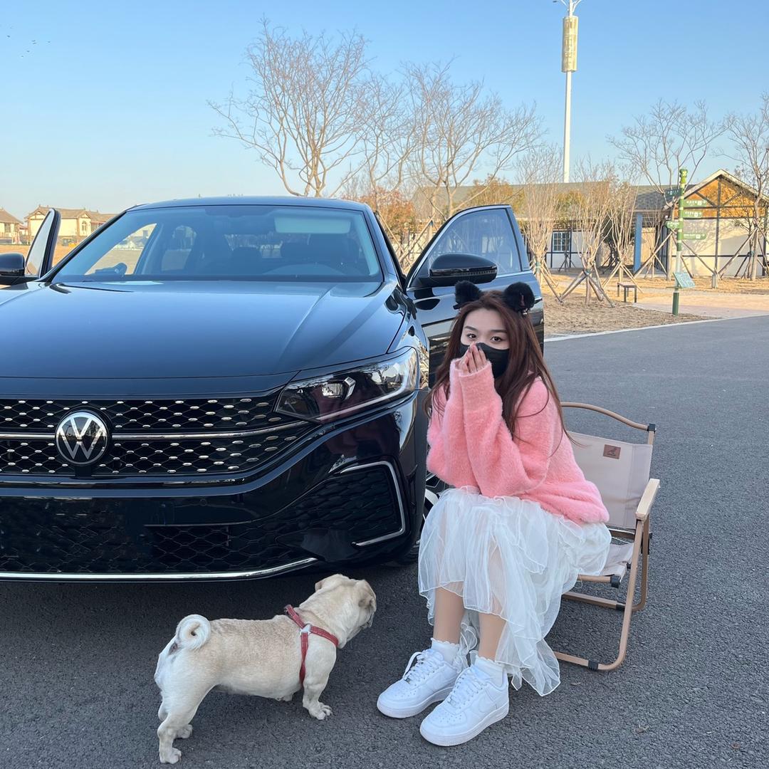 仙女de帕萨特🚗