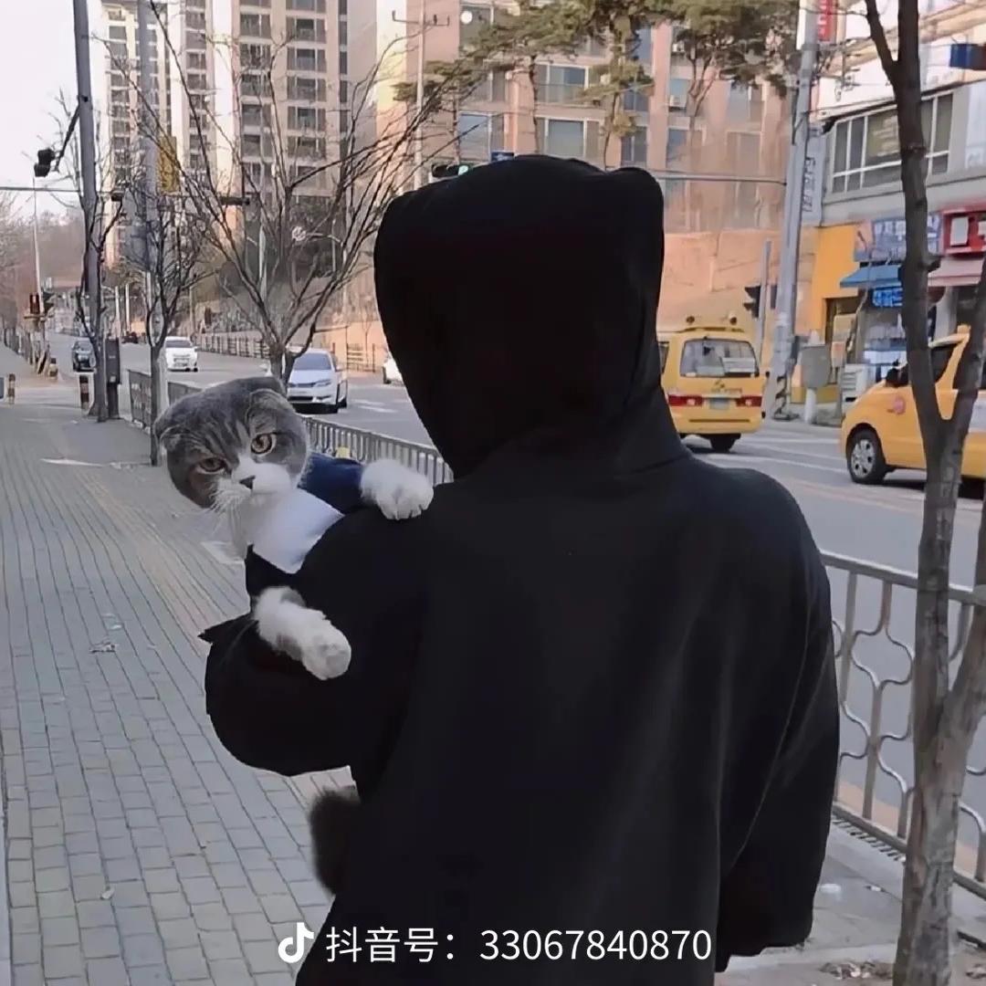 梦奇宠物用品