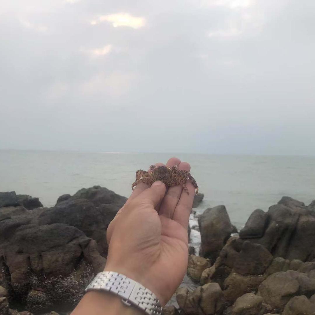 一束光（旅行ing）