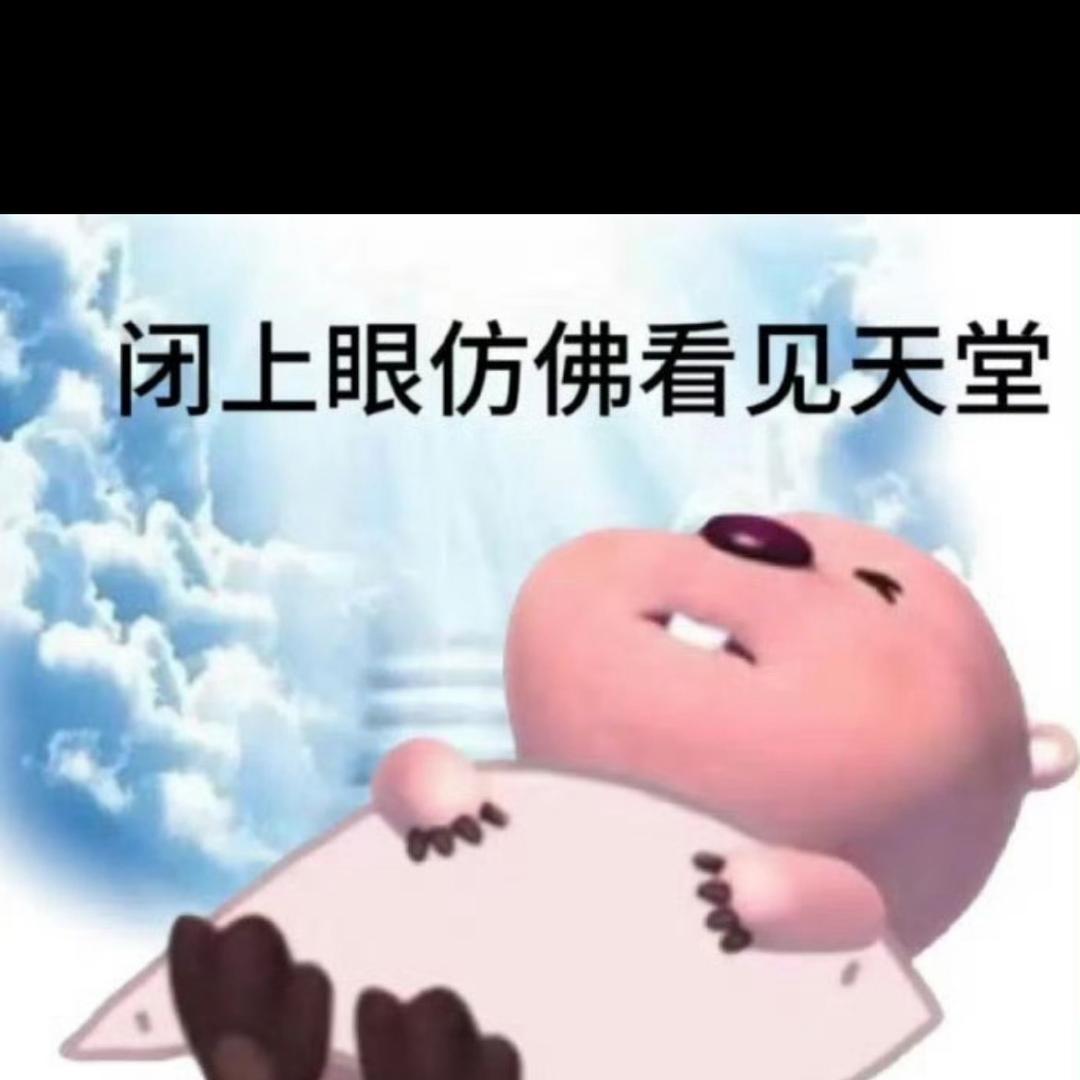 85519586066
