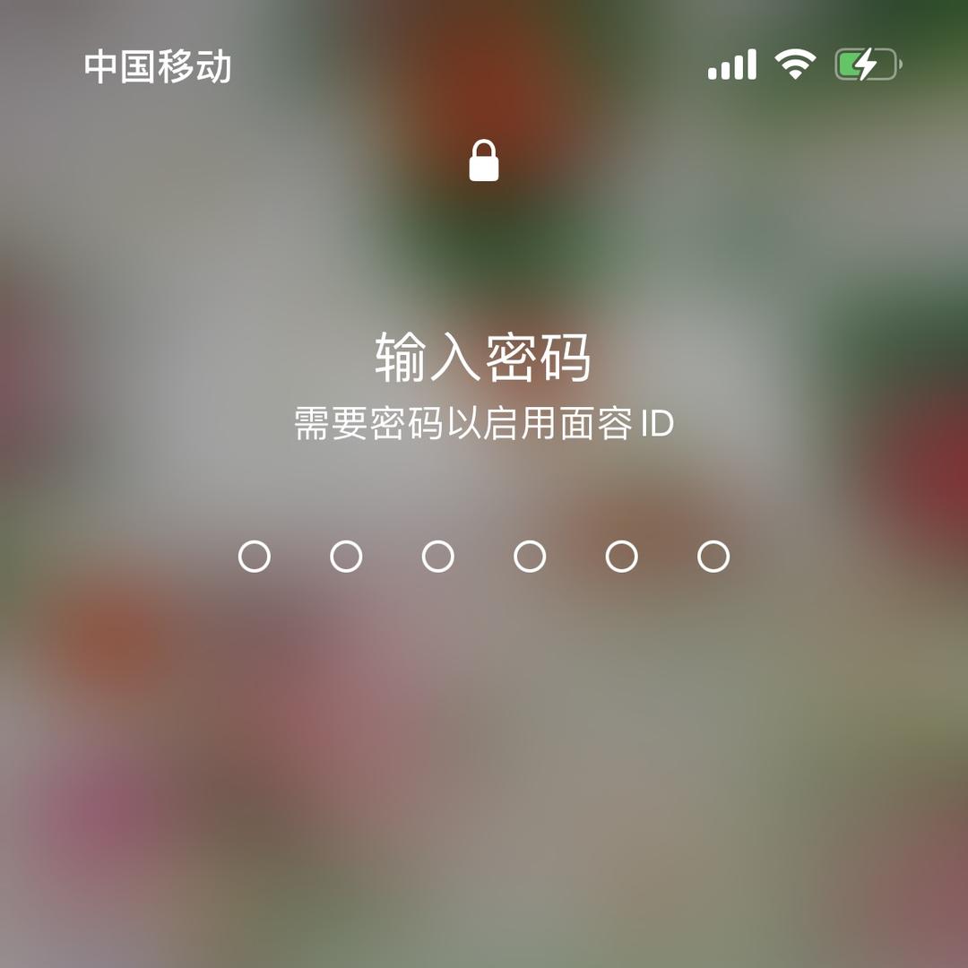 贝贝家女装1