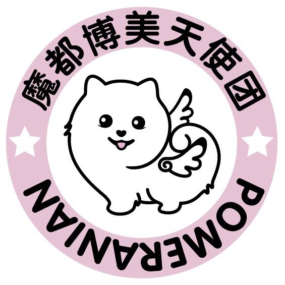 魔都博美天使团