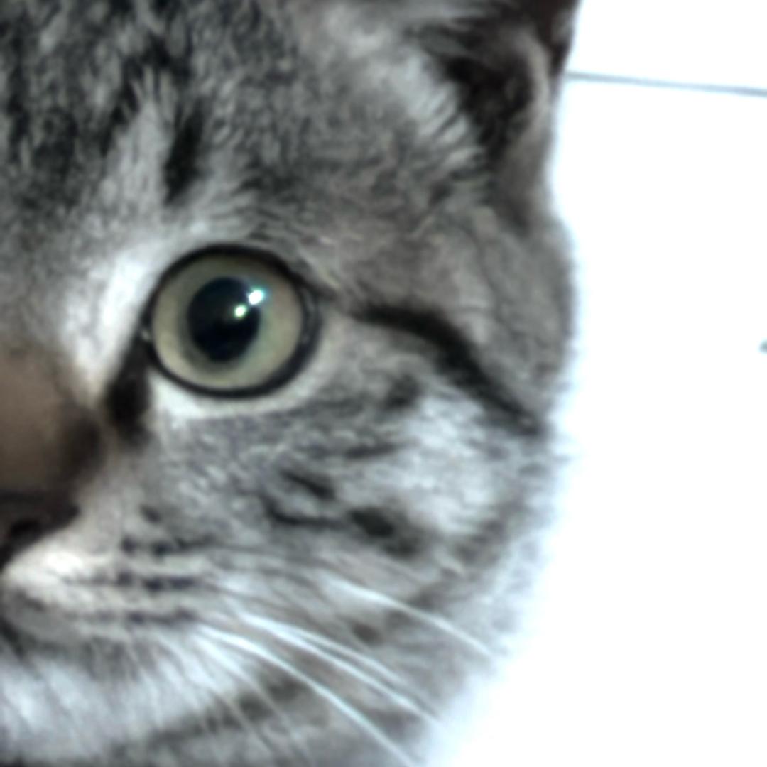 jooveyosh