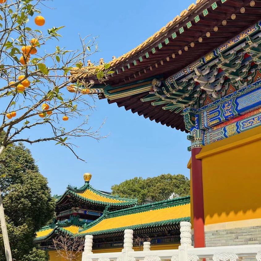 冷暖自知