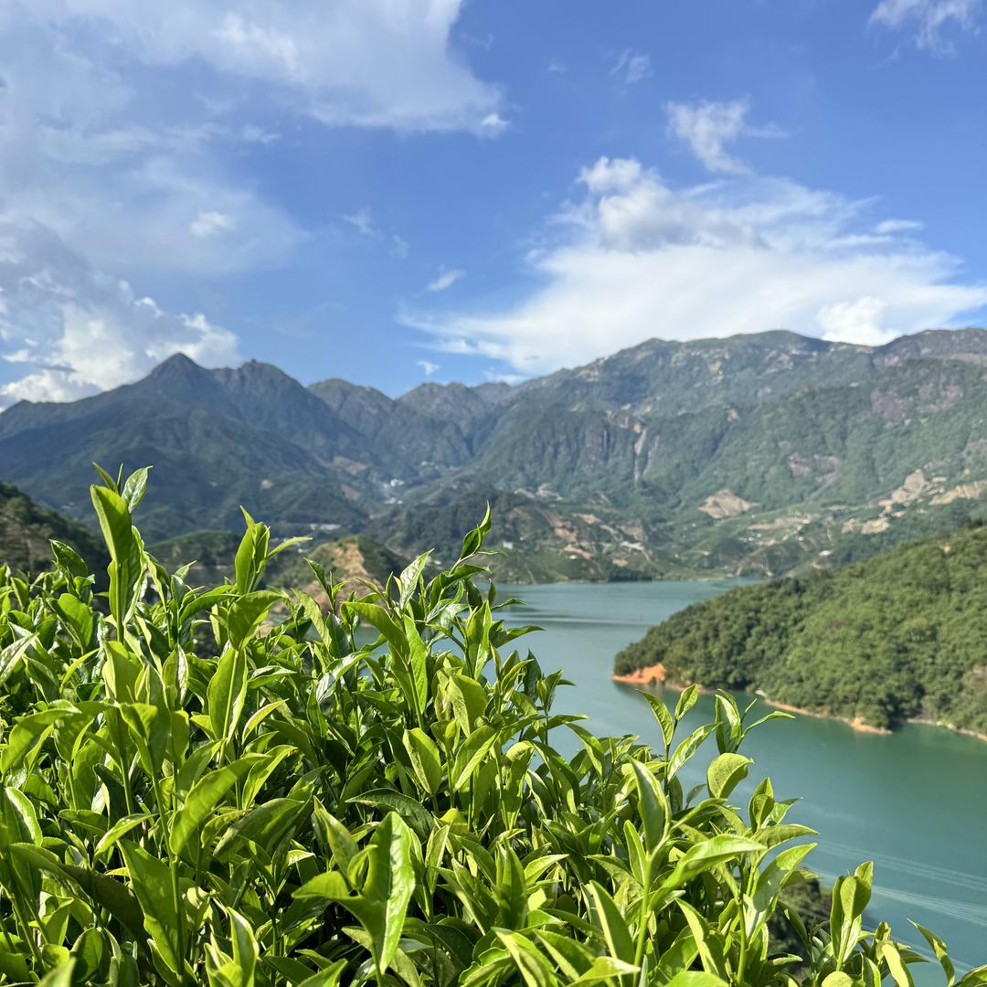 潮州市湘桥区义茗茶店的小店