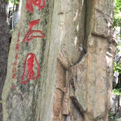 就是xun悟空的 孙