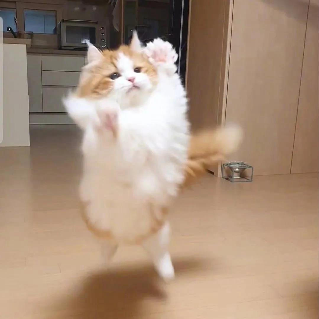 朵ㅤㅤㅤㅤㅤ