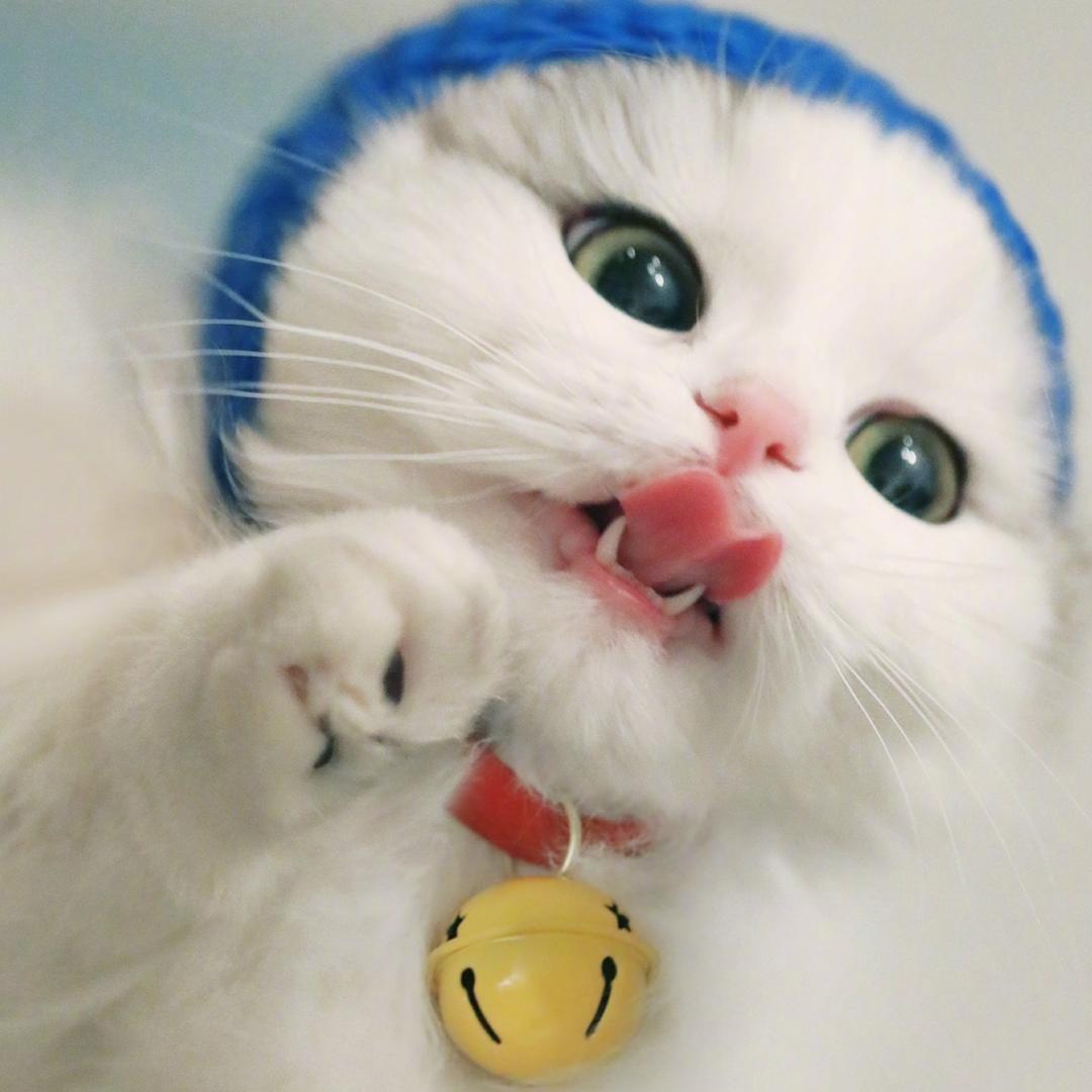 葵花