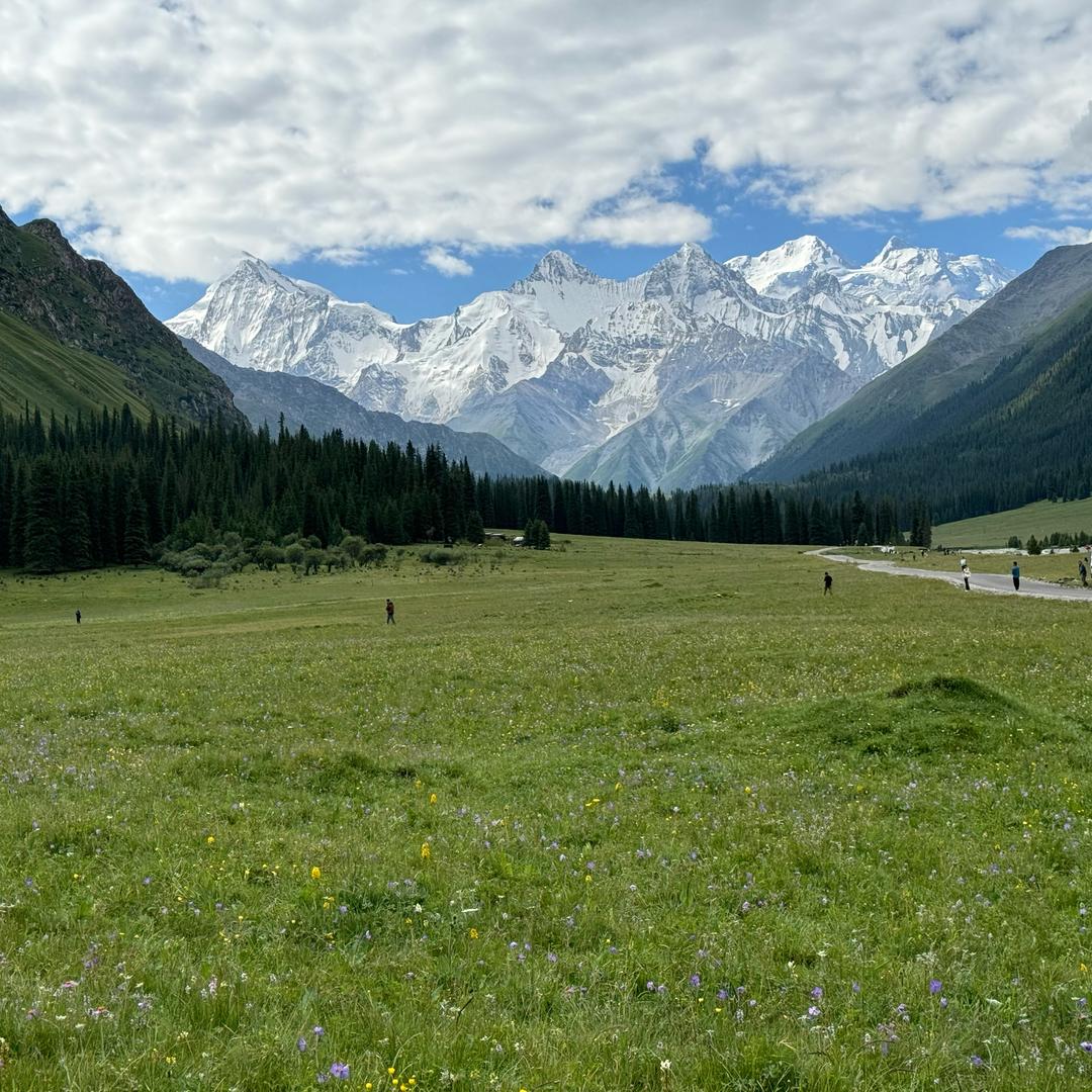 七只流浪猫咪的铲屎官
