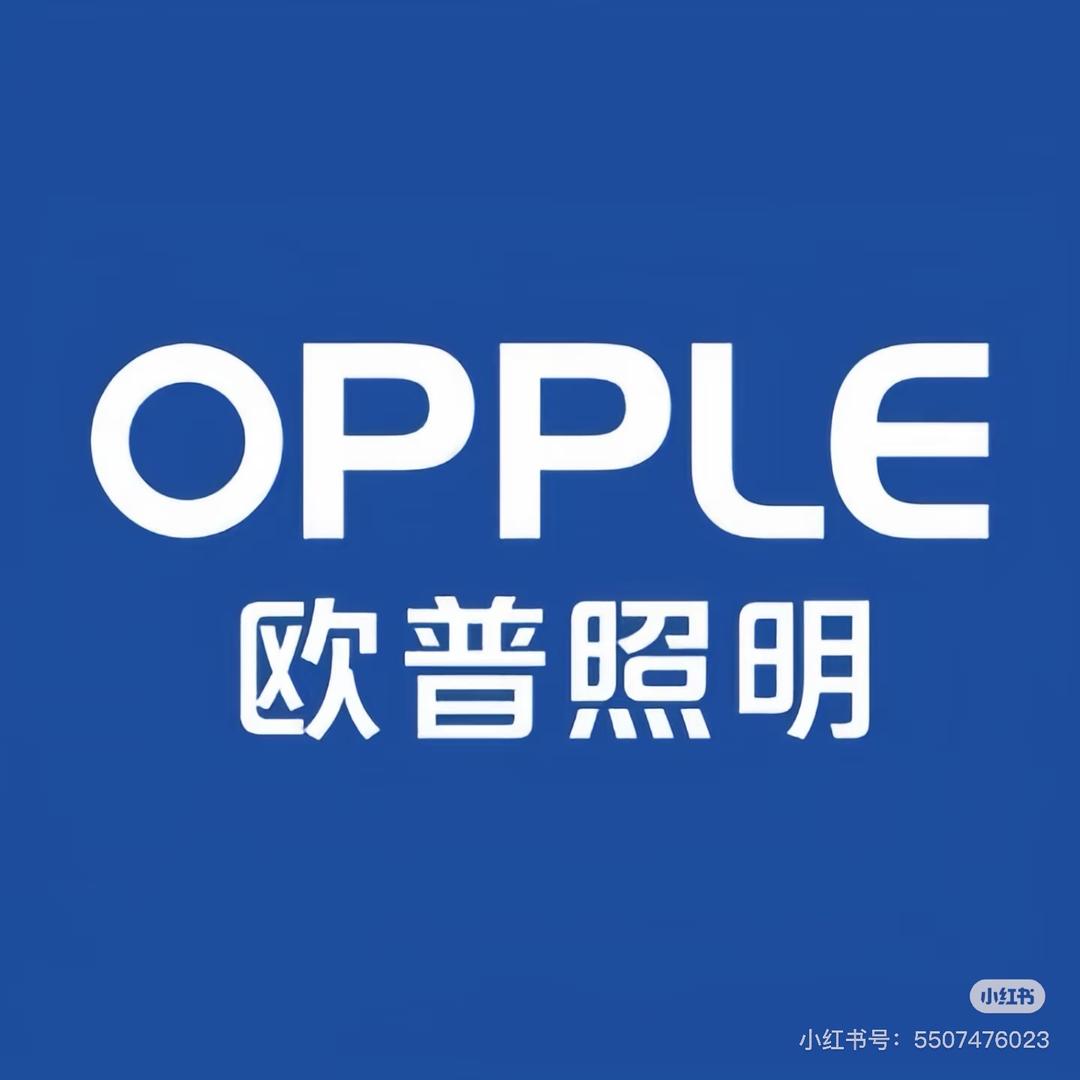 连云港兴隆装饰城欧普智能照明