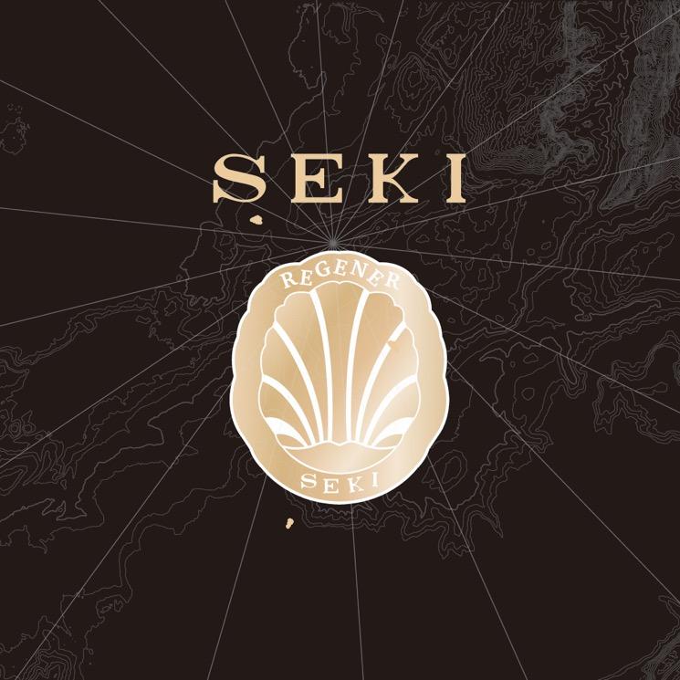 SEKI法式光感抗衰中心（李沧店）