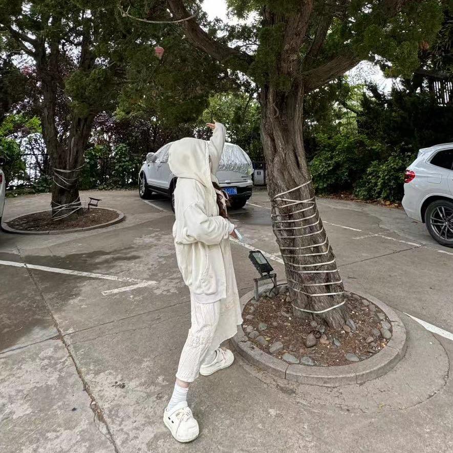 土豆炖破忒头