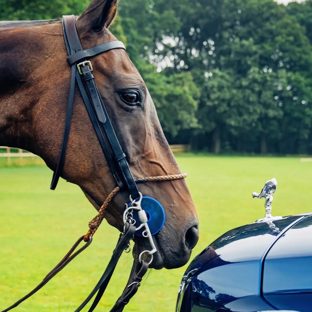 勇晟表行（云仓撤柜）