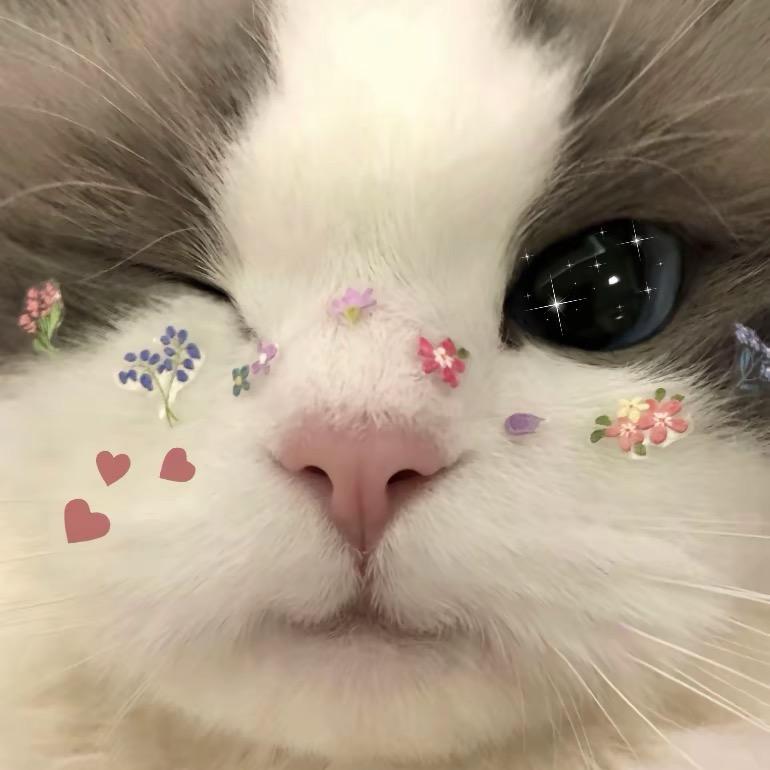 小如我就这样