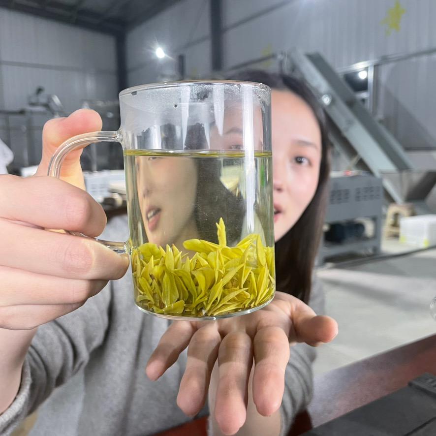 金盛源俊达黄金芽