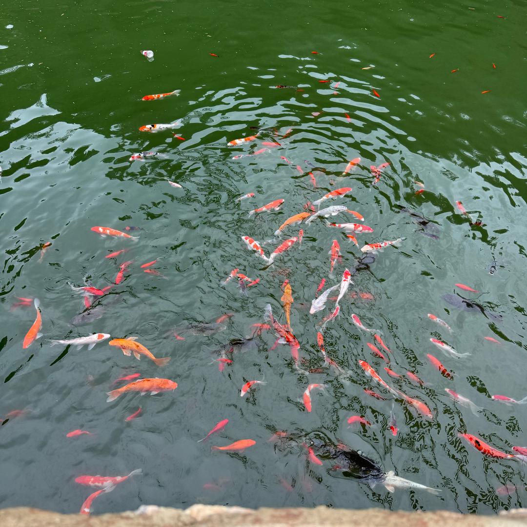 悠悠精选良品铺