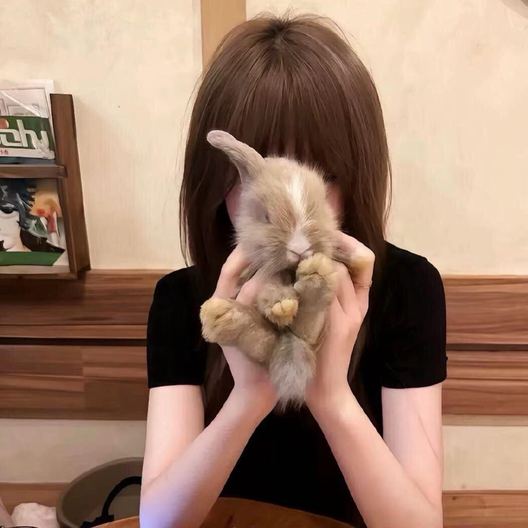 日记 ㅤ