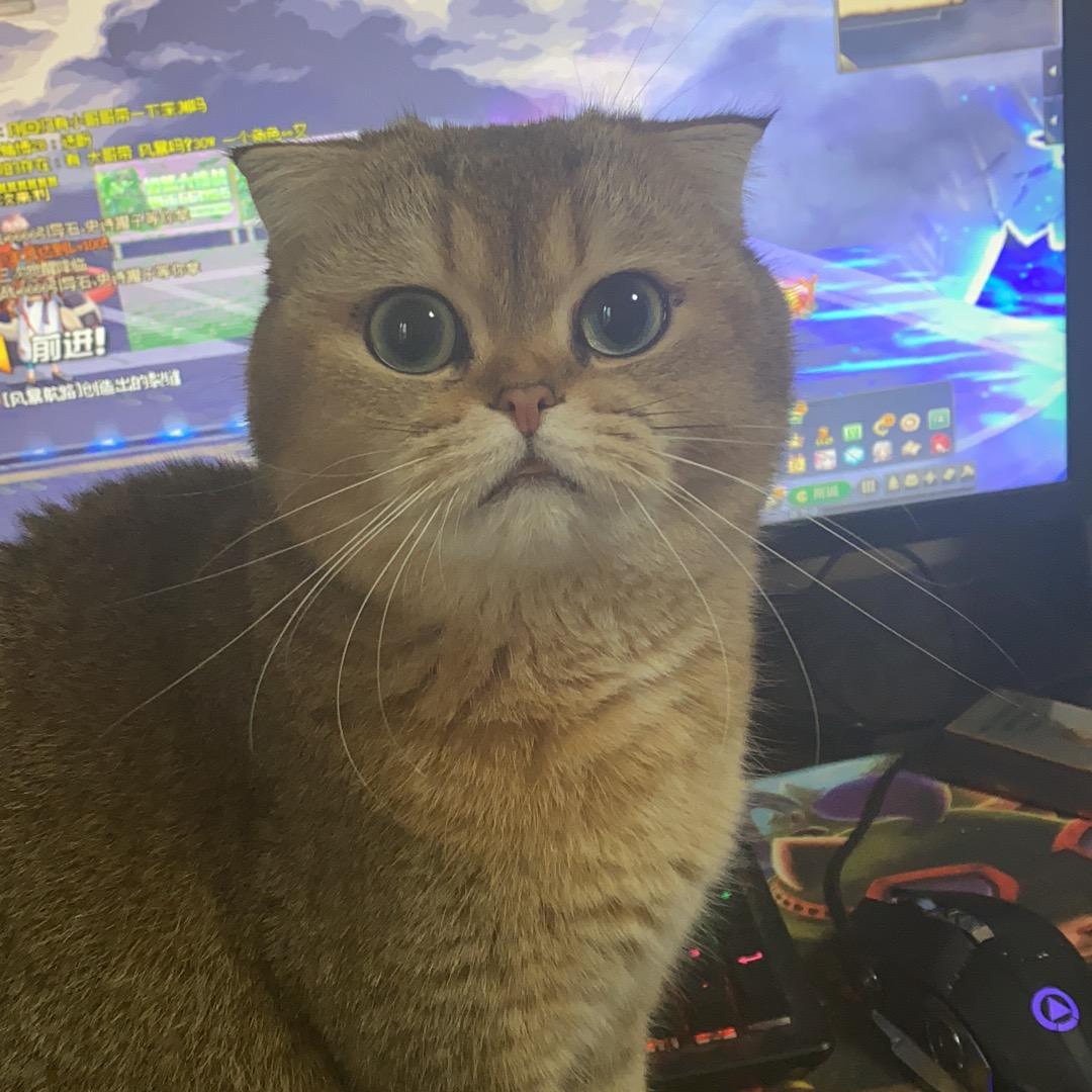傻福