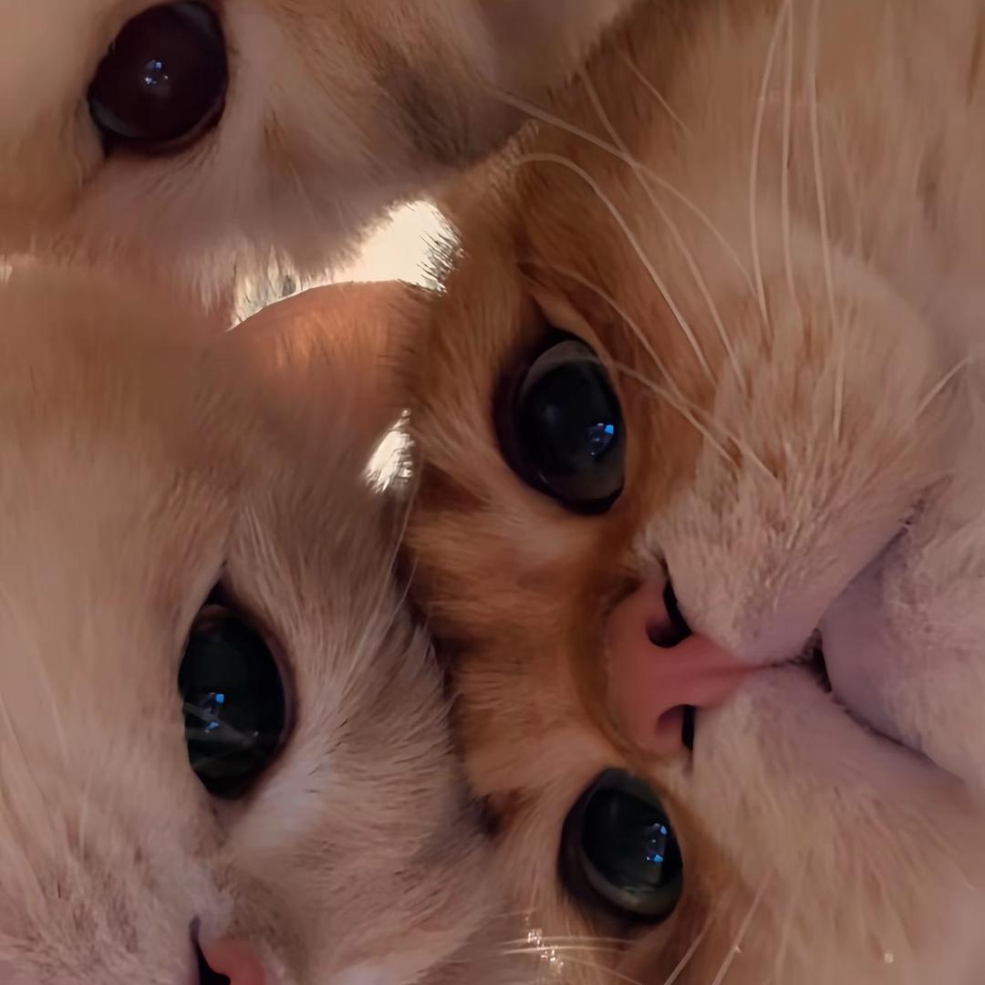 爱打游戏的小龙女