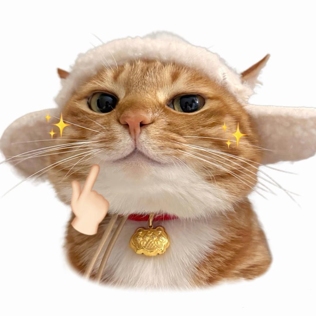 来财有点阔爱