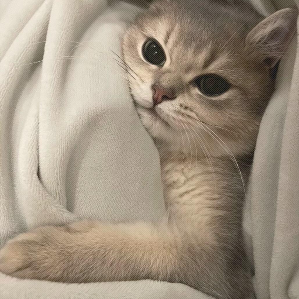 不想在熬夜了