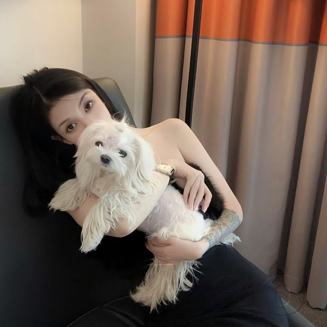 糕冷-