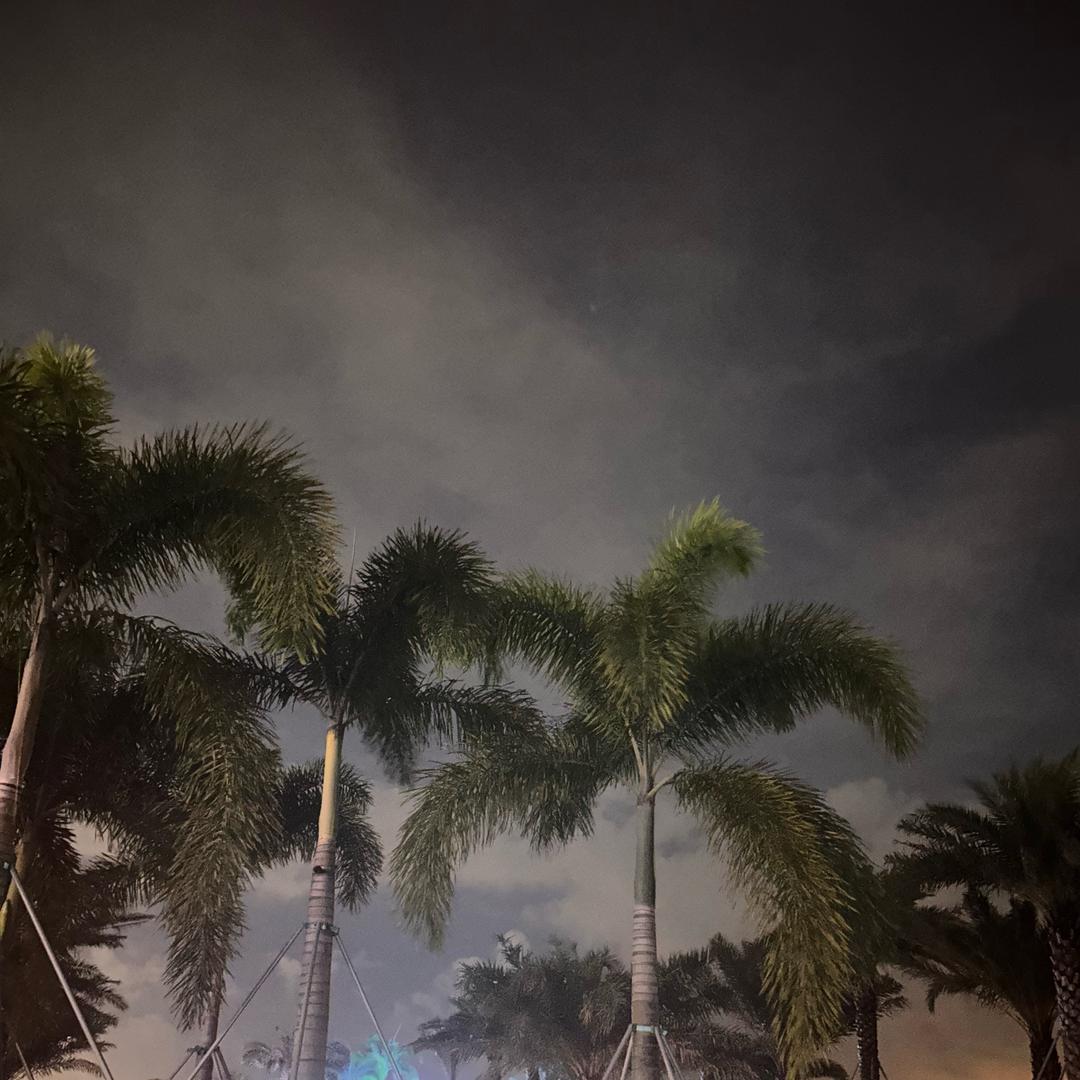 我的真爱（赚钱）