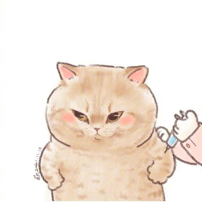 小陌