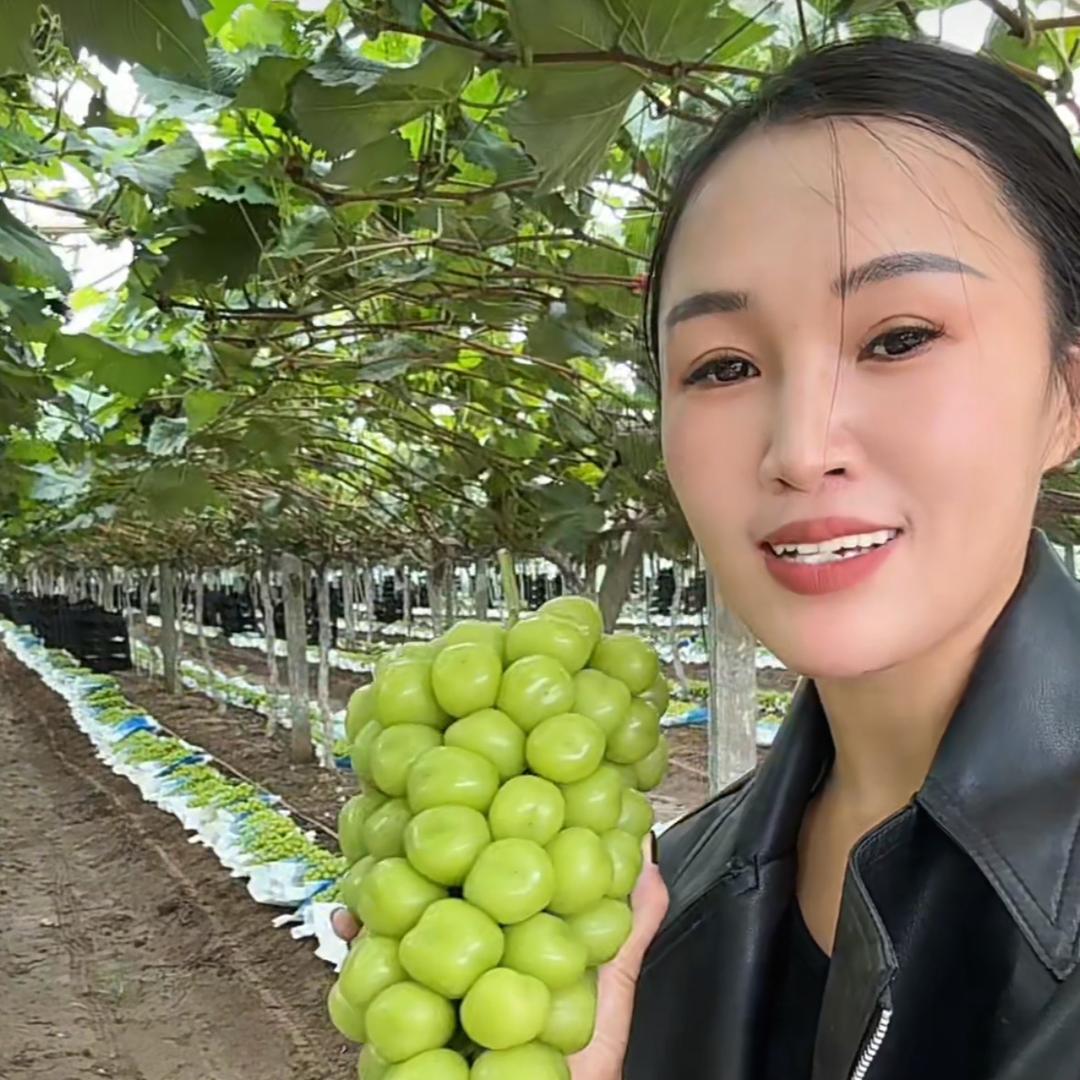 闪闪呀（葡萄代收）