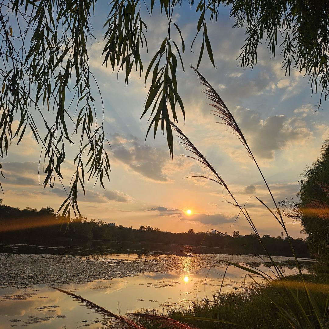 西米儿