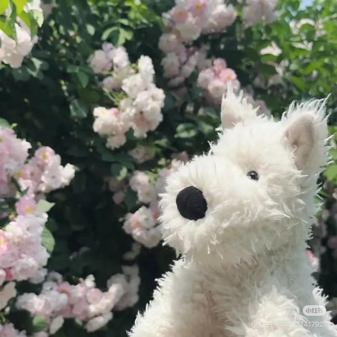 樂樂樂
