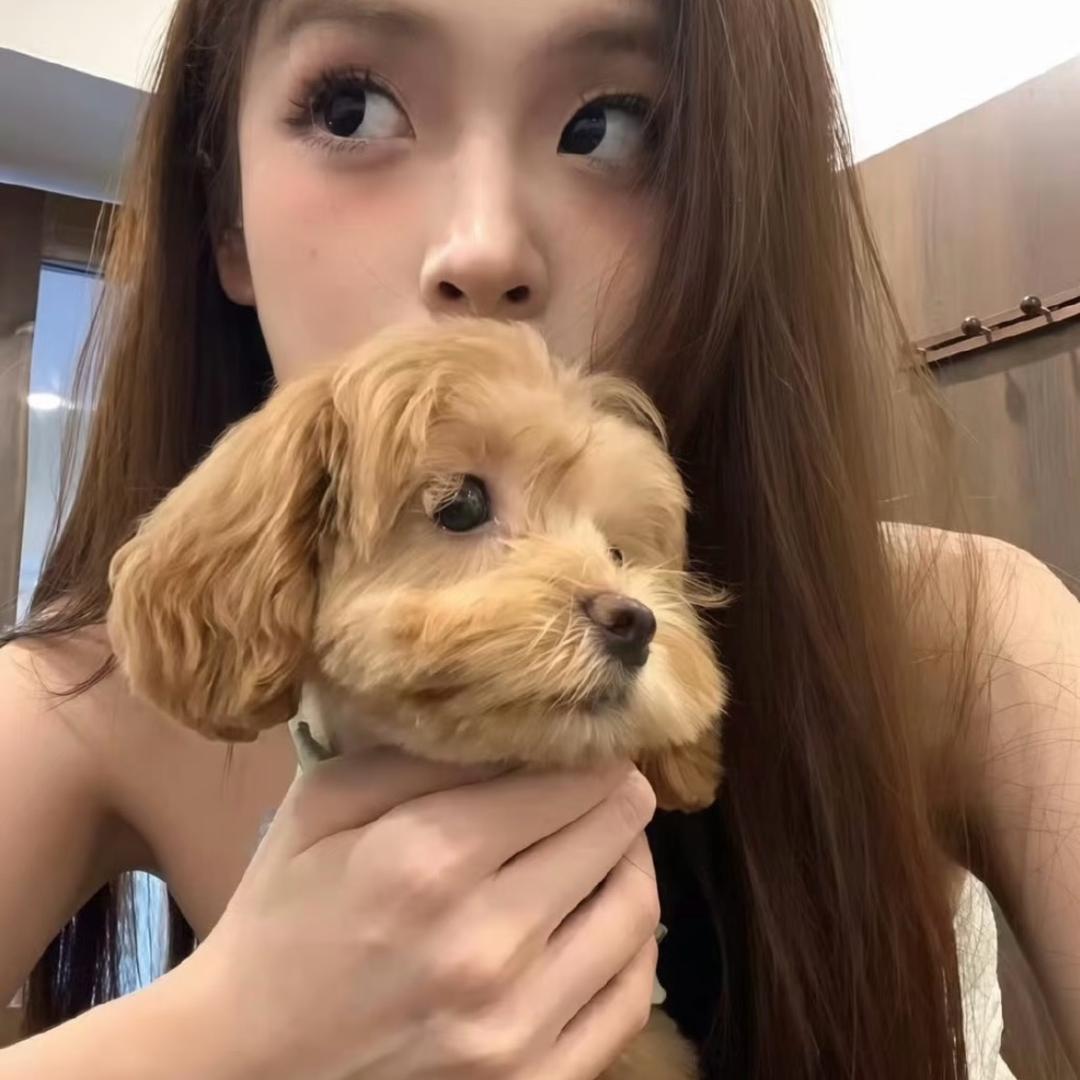 蛋黄I