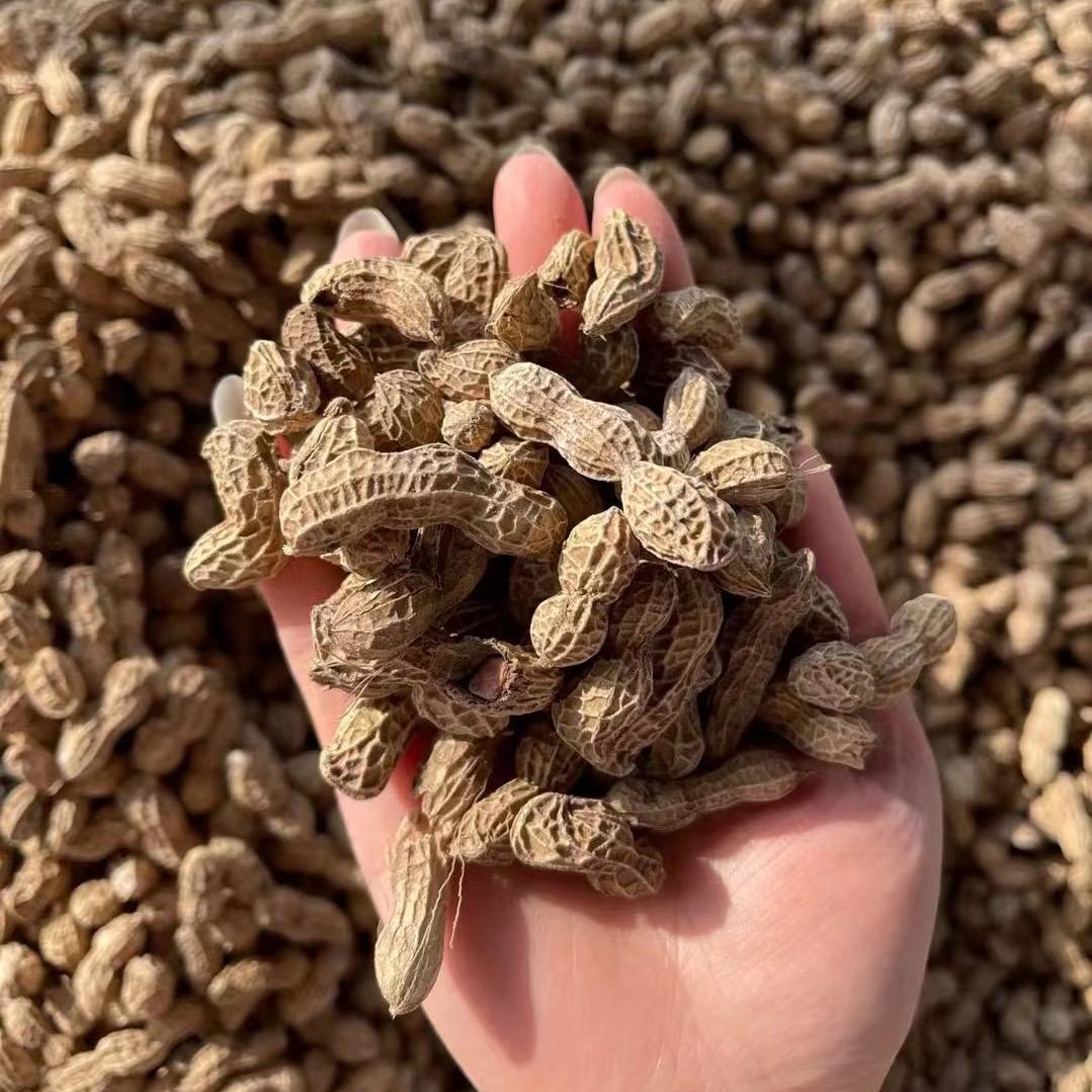 梅姐花生加工厂（发货看主页）