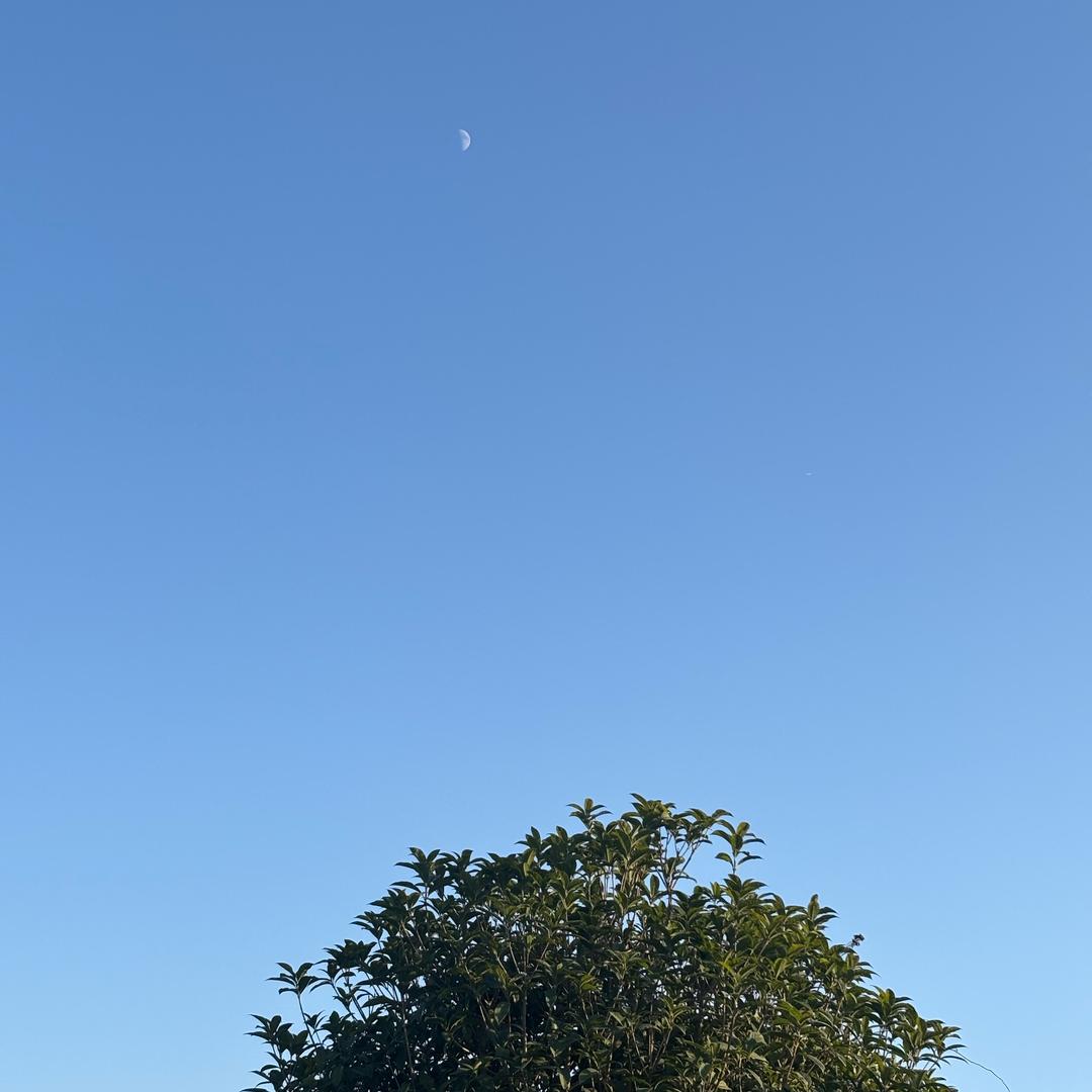 不管